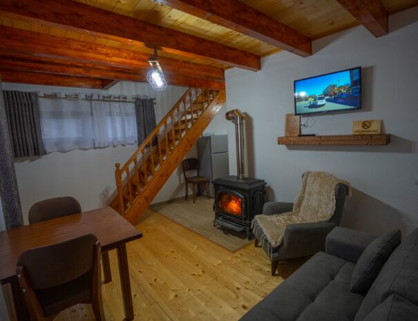 VILAT ALPINI LEPUSHE HOTEL VILLA - NORTH ALBANIA - FOTO TERENC PEPA (15)